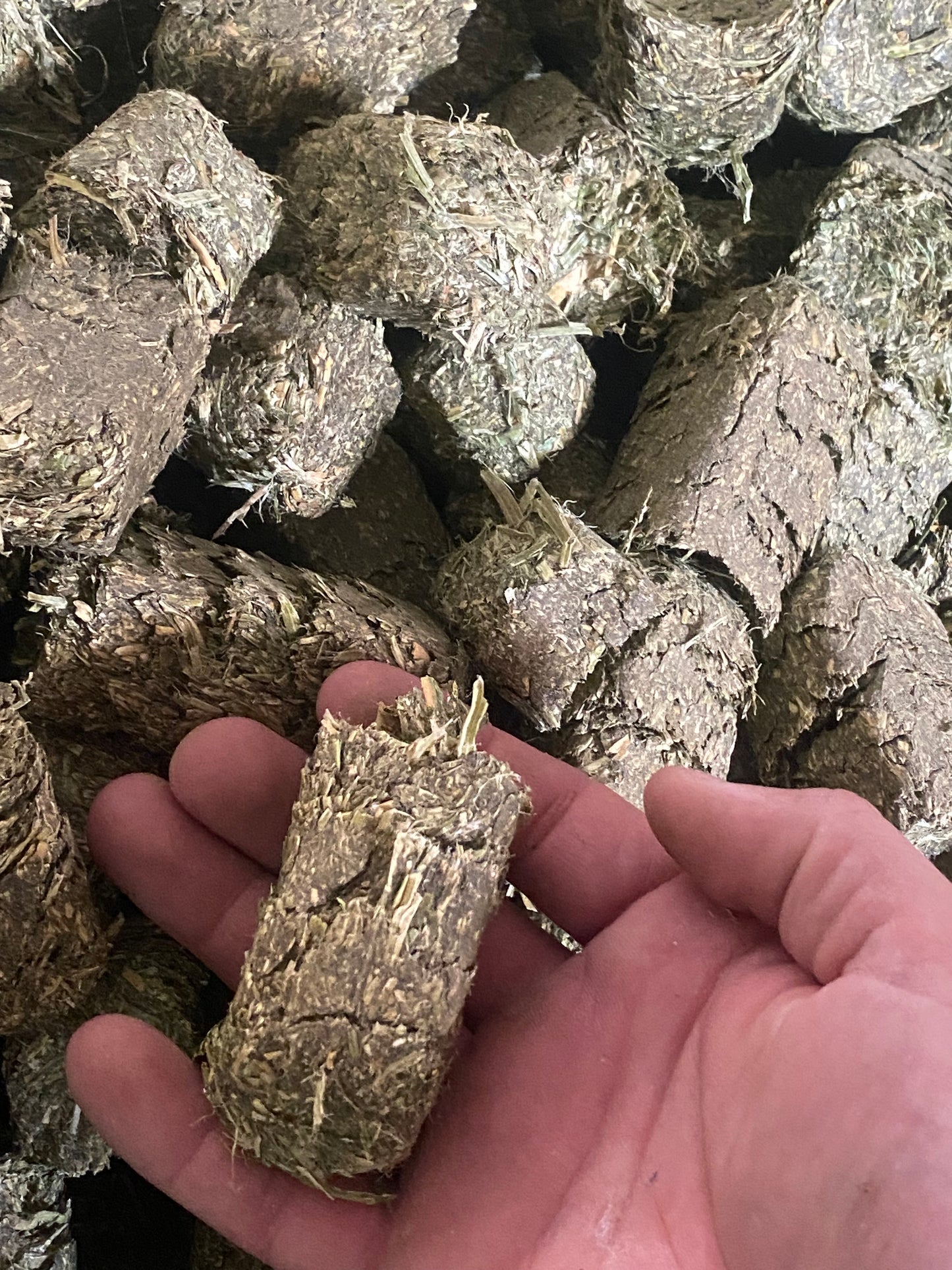 Alfalfa Cubes