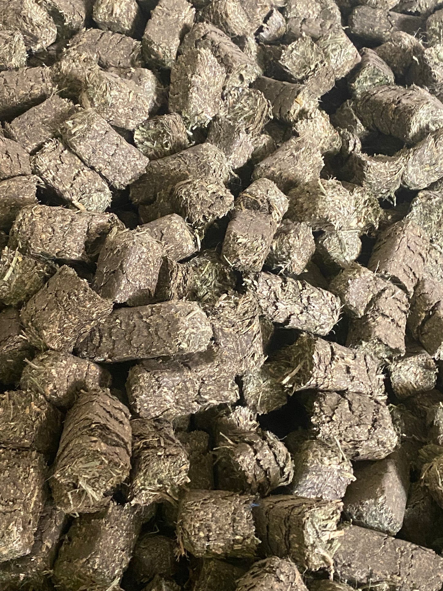 Alfalfa Cubes