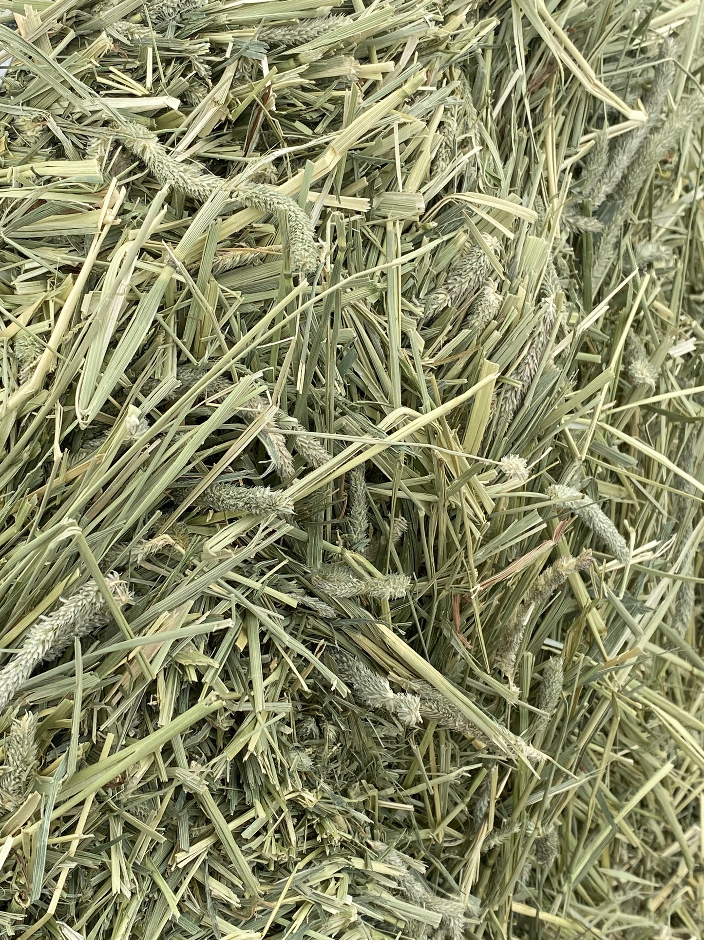 Timothy Soft Compressed Bale
