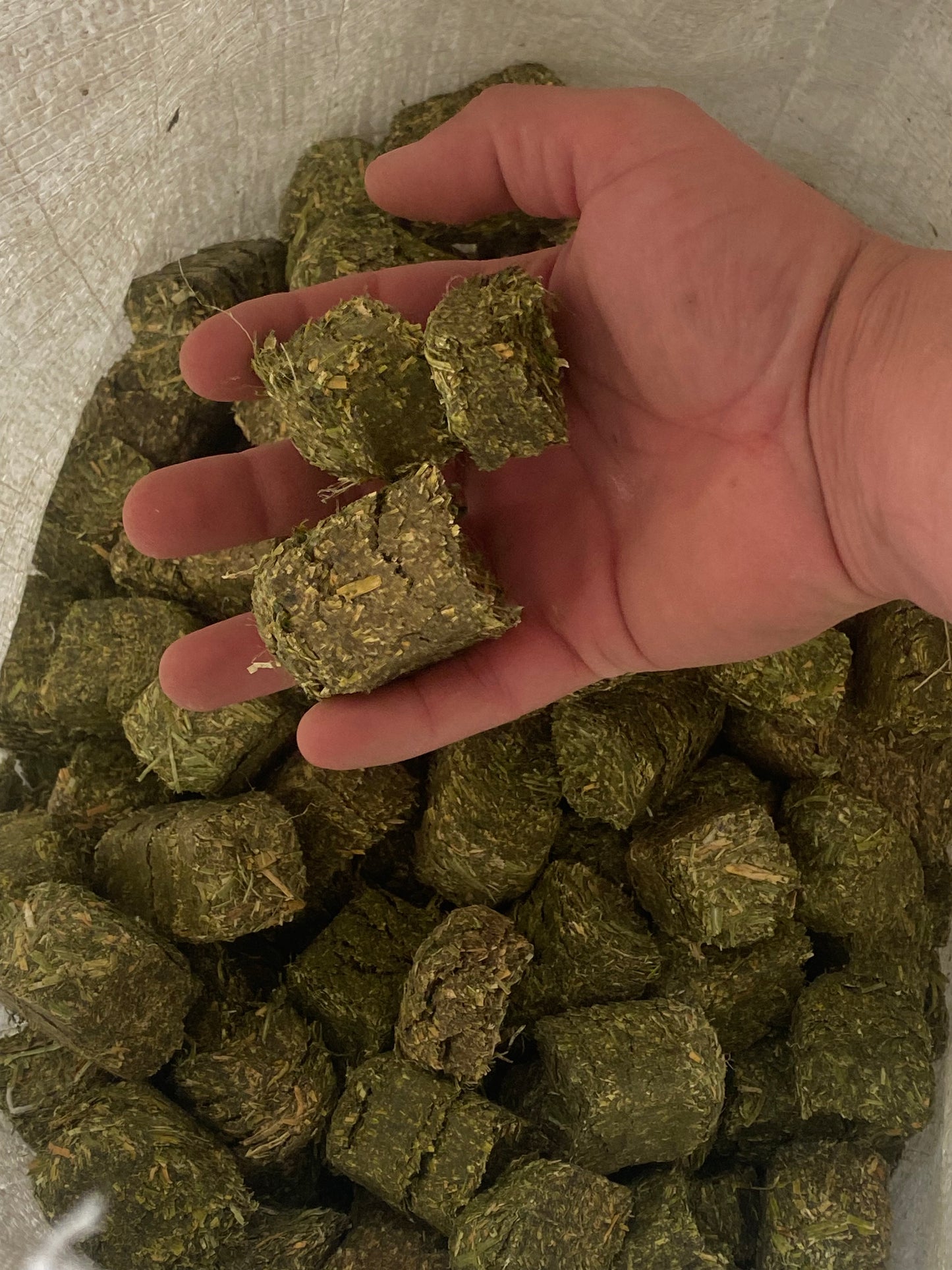 Alfalfa Cubes