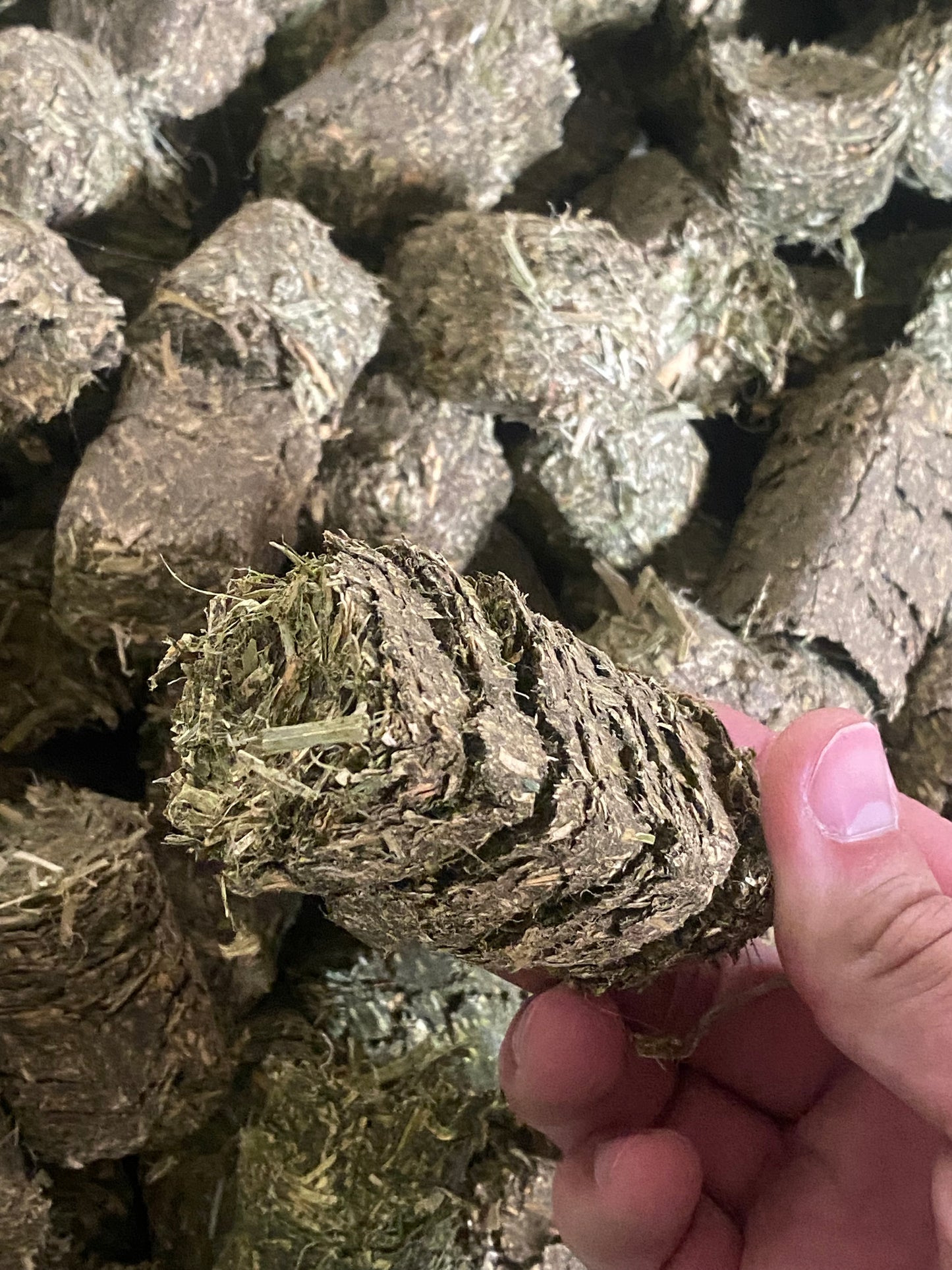 Alfalfa Cubes