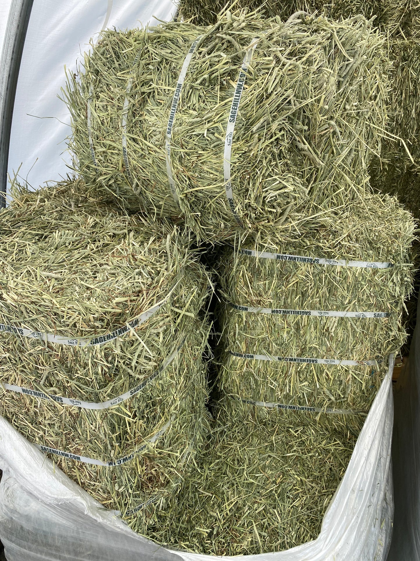 Timothy Soft Compressed Bale