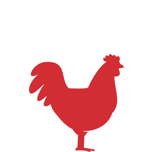 Chick-Magnet (complete layer feed)