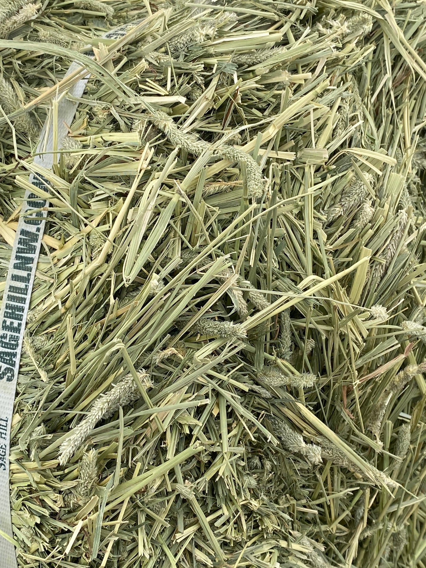 Timothy Soft Compressed Bale