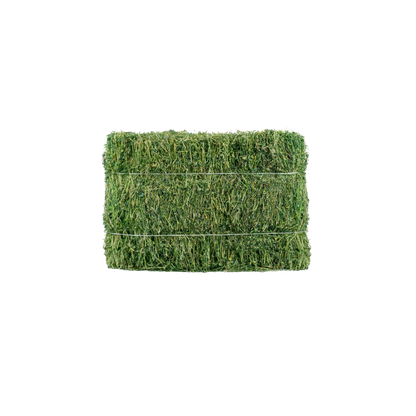 Alfalfa Soft Compressed Bale