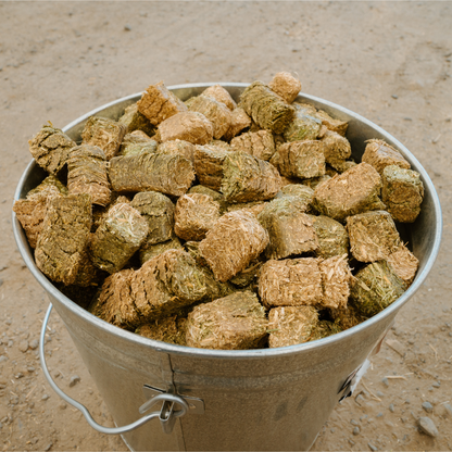 Alfalfa Cubes