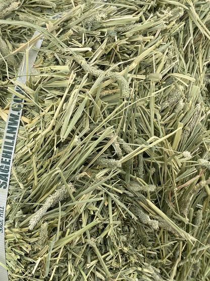 Timothy Soft Compressed Bale