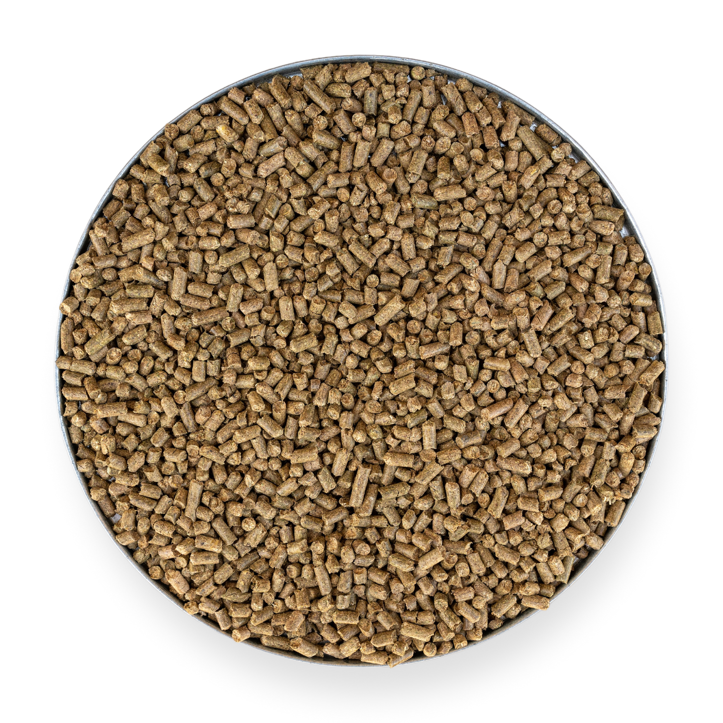 Kentucky Bluegrass Pellet