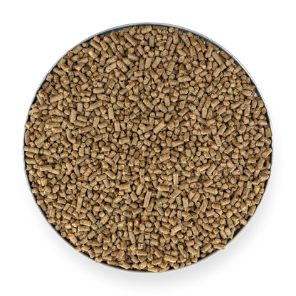 Kentucky Bluegrass Pellet