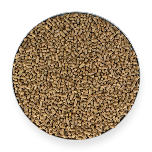 Kentucky Bluegrass Pellet