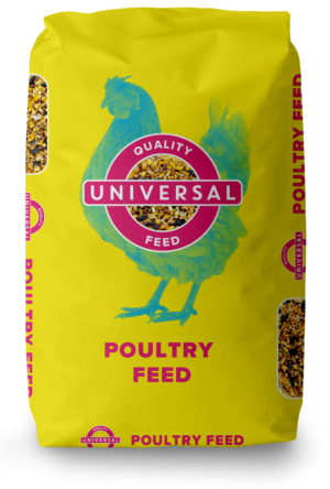 Universal Poultry Layer Pellet – 50 lb