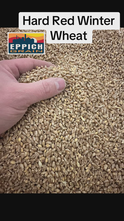 Hard Red Wheat