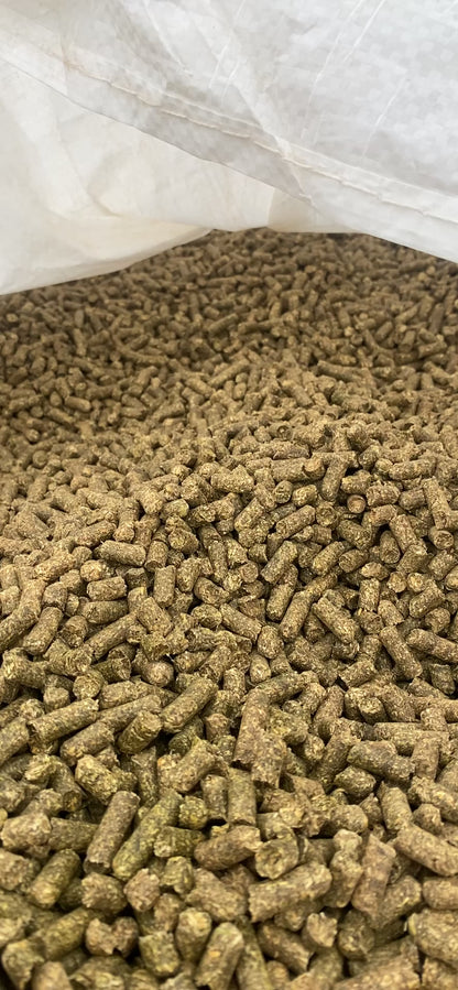 Kentucky Bluegrass Pellet