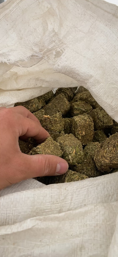 Alfalfa Cubes