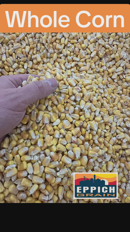 Corn