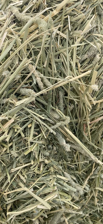 Timothy Soft Compressed Bale