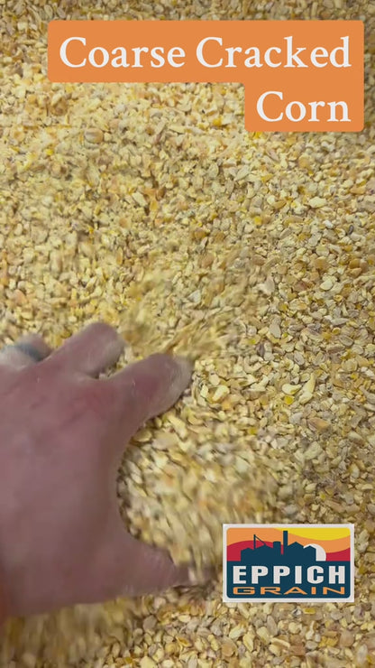 Corn
