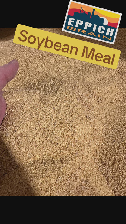 Soybean Meal