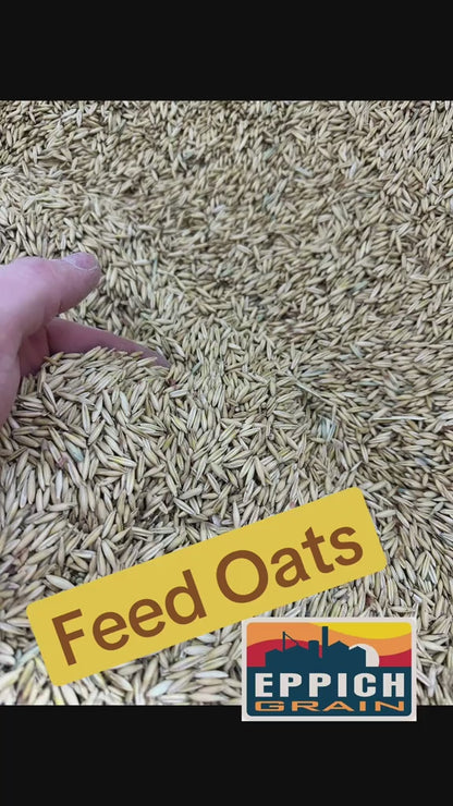 Oats