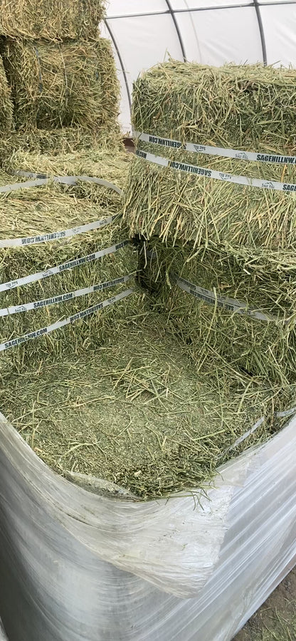 Alfalfa Soft Compressed Bale