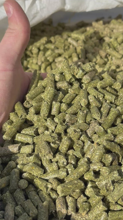 Alfalfa Pellets