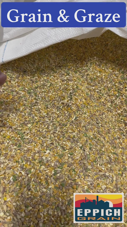 Grain and Graze